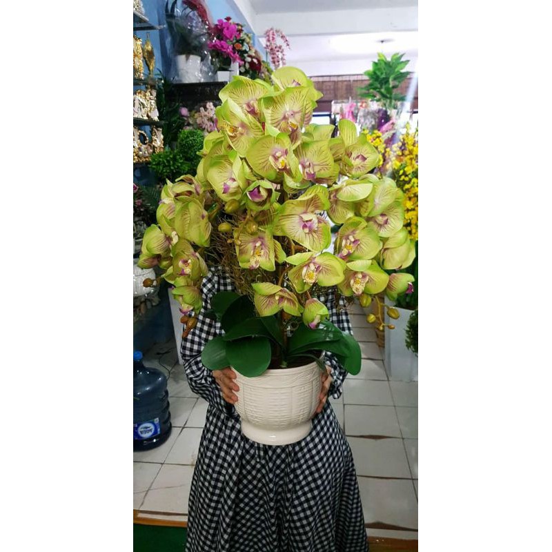 Anggrek super premium latex
