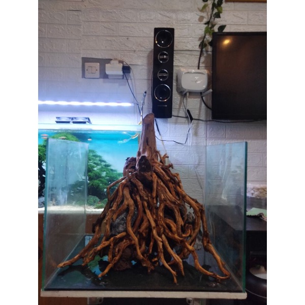 HARDSCAPE AQUASCAPE || HARDSCAPE NATURAL STYLE || HIASAN AQUARIUM