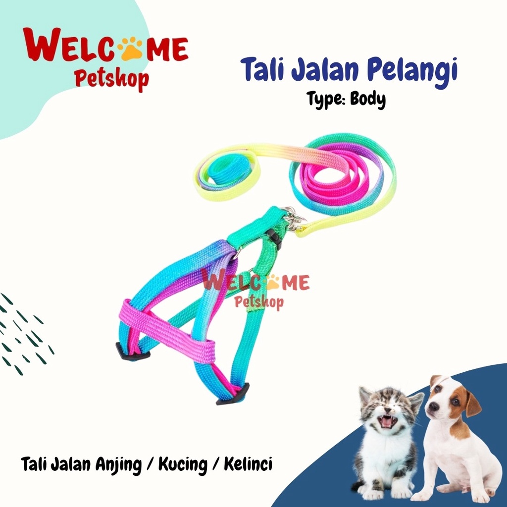 Tali Jalan Anjing Kucing Kelinci Pelangi / Leash / Tali Jalan