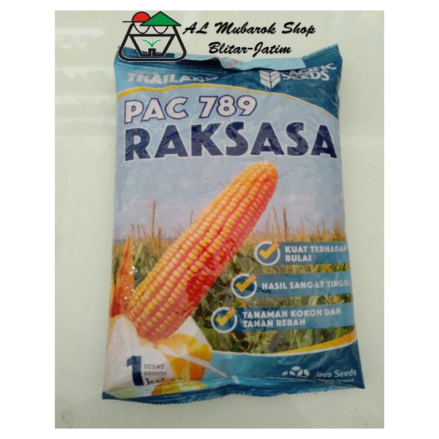 Benih Jagung Raksasa 1 kg