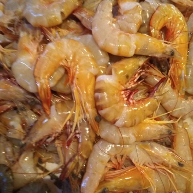 

Jual udang jerbung segar min 1kg