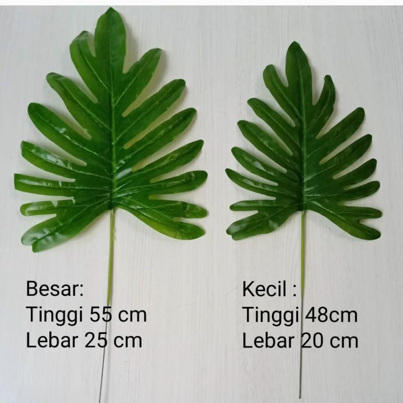 Daun Selum Dekorasi
