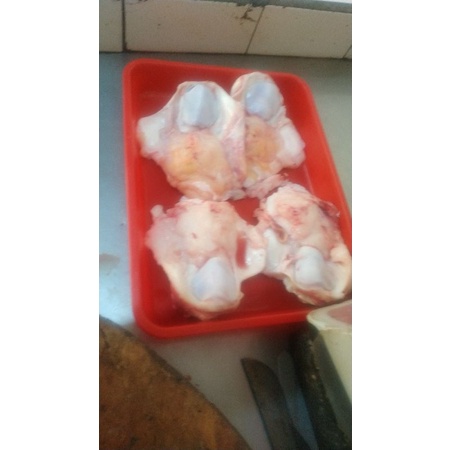 

Dengkul sapi /Ceklok/Patela/Dogani 1 pcs