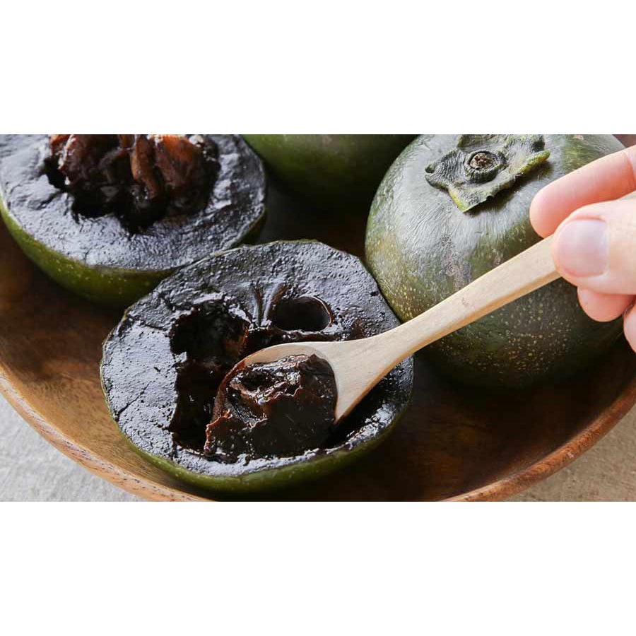 Bibit black sapote jumbo okulasi sambung