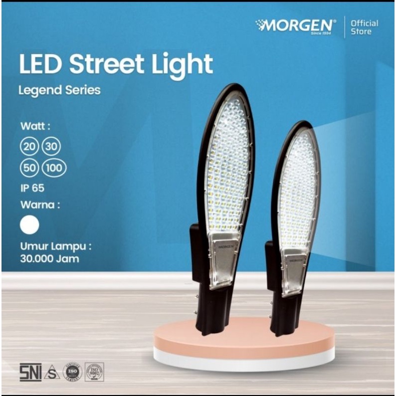 Lampu Jalan Morgen 100W 6500K