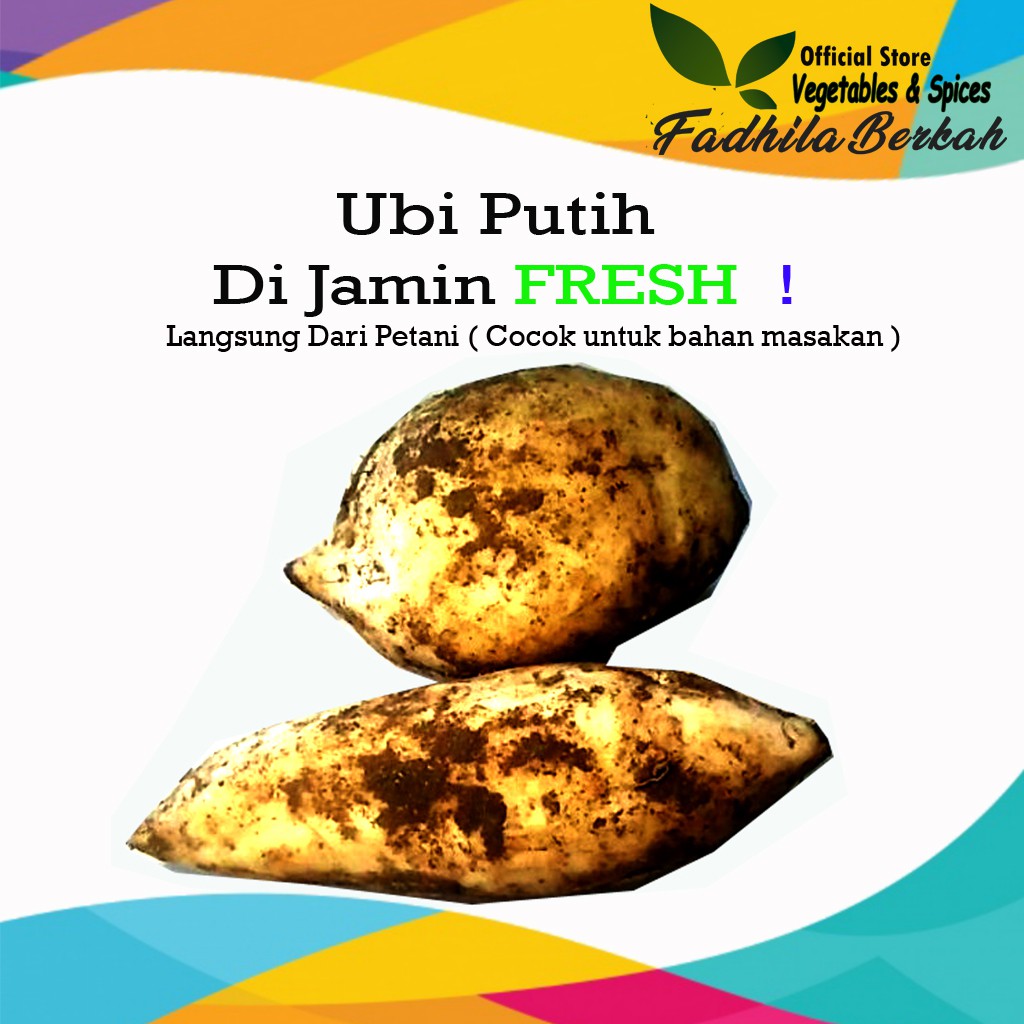 

Ubi putih segar hasil bumi dengan kemasan 1 KG