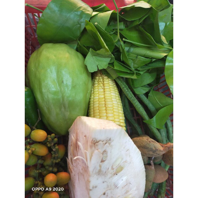 

Paket Sayur Asem Komplit