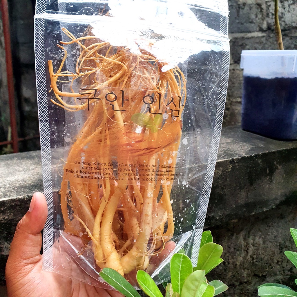 

Ginseng korea fresh segar 125 Gram