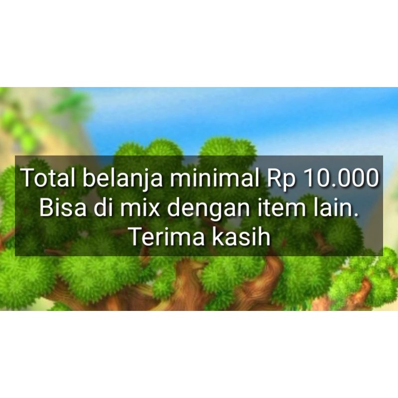 Bunga Skimmia Jepang per tangkai