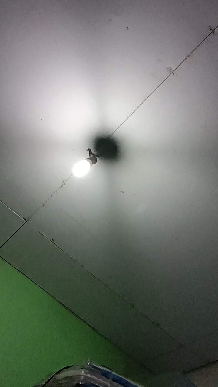 Lampu Minyak Goreng / Lampu Ublik / Lampu Jadul / Lampu Teplok