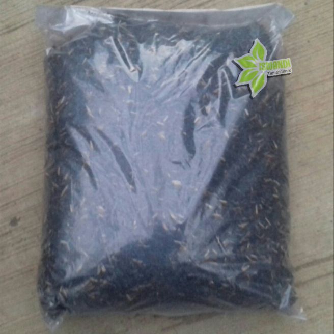 media tanaman sekam bakar - media sekam bakar - pupuk sekam bakar