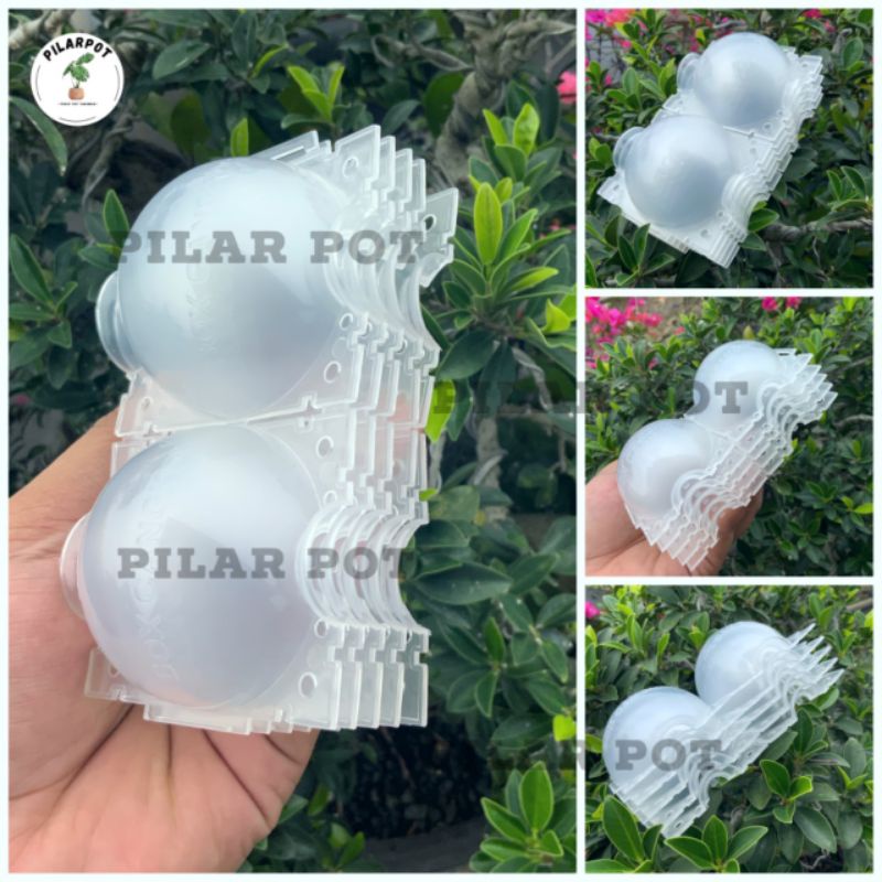 Tempat pot wadah nkt box media cangkok 5 cm - PACK ISI 5 PCS MINI