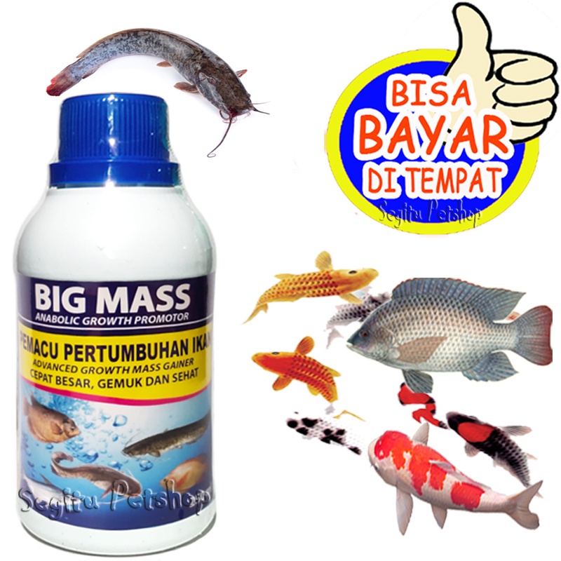 VITAMIN IKAN CEPAT BESAR GEMUK GURAME NILA LELE PATIN BAWAL BIG MASS