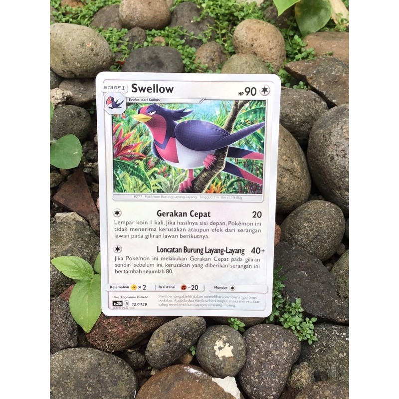 KARTU POKEMON SWELLOW
