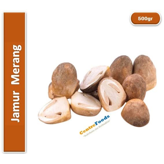 

Jamur Merang Fresh - Jamur Padi | 500gr [ Harga Per 0,5 Kg ]