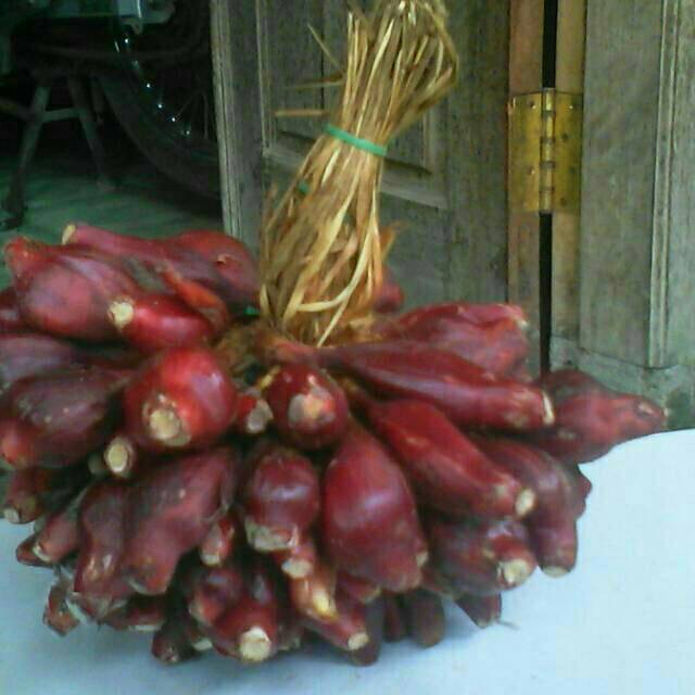 Bawang dayak segar 1kg