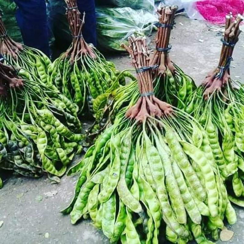

paket pete petai buah lonjoran super 10 papan/ lonjor