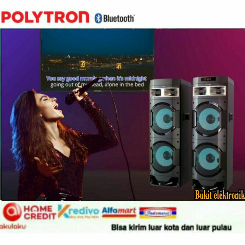 ACTIVE SPEAKER POLYTRON PAS10D22 PAS 10D22 LIGHT AMBIENCE & VIDEO OUT NO ✓