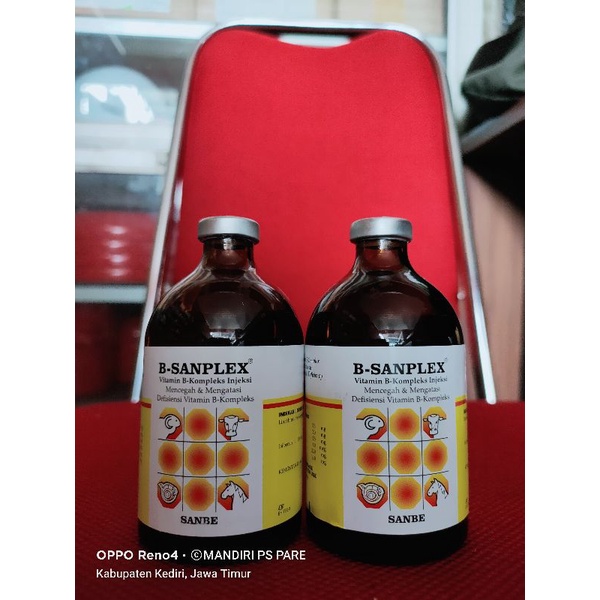B-SANPLEX 100ML SANBE (Vitamin B-Kompleks Injeksi)