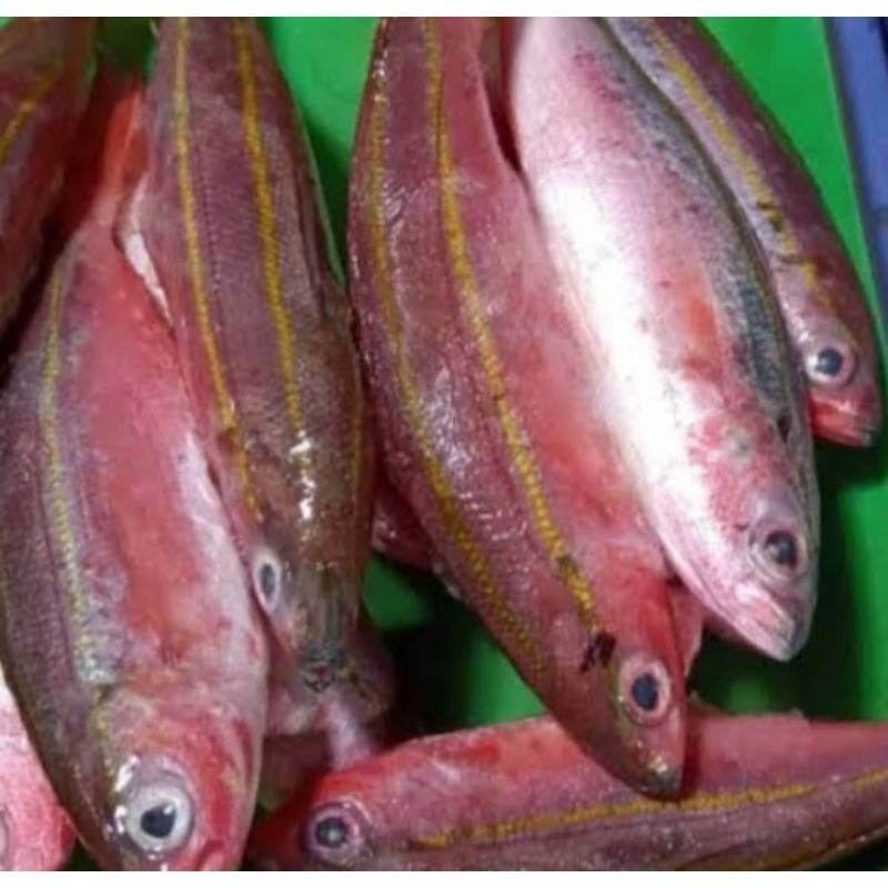 

ikan pisang-pisang segar