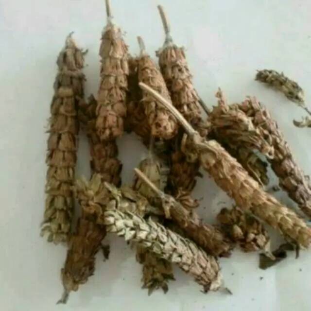 

Teh prunella vulgaris 40 gram