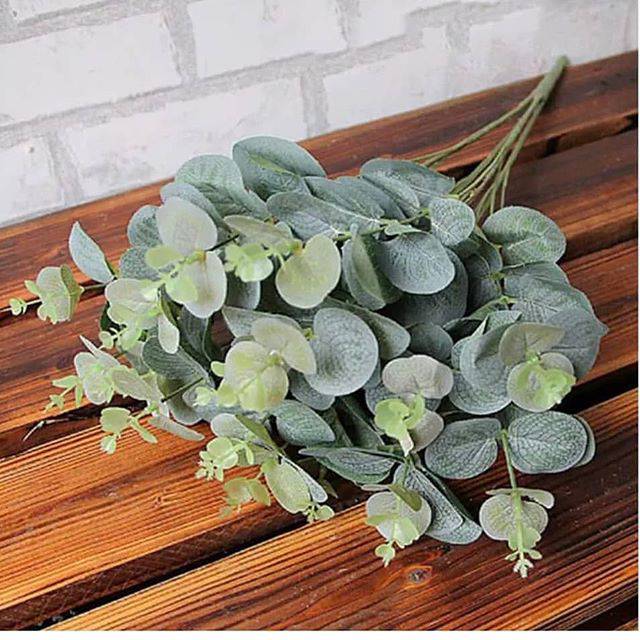 Daun Eucalyptus / eucalyptus / daun eucalyptus artificial / eucalyptus artifisial / eucalyptus palsu