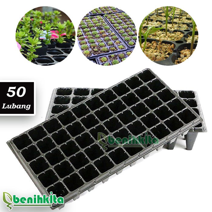 Pot Tray 50 Lubang Tray Semai Benih