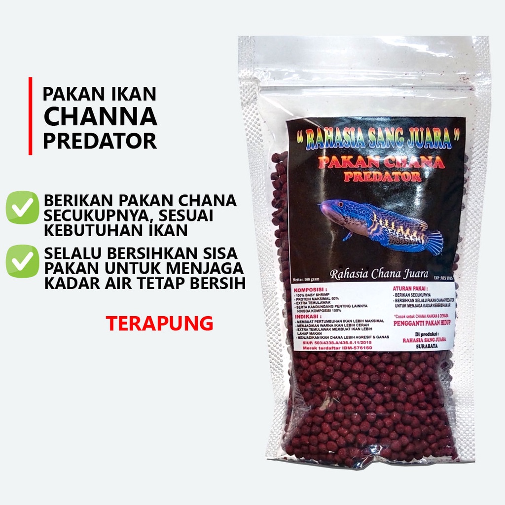 PELET CHANNA | PAKAN CHANA PREDATOR MEMBUAT PERTUMBUHAN IKAN LEBIH MAKSIMAL DAN MENJADIKAN WARNA LEBIH CERAH