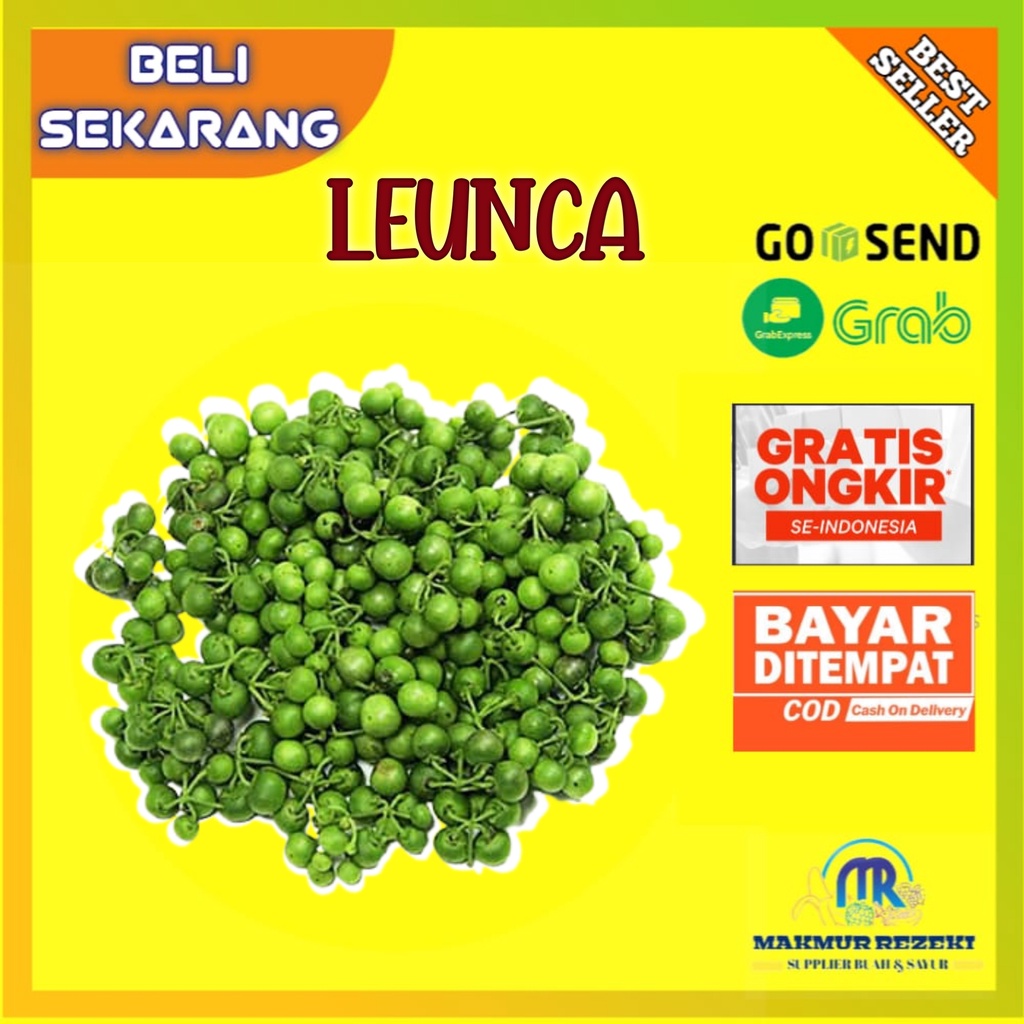 

LEUNCA SEGAR LALAP 250 GRAM