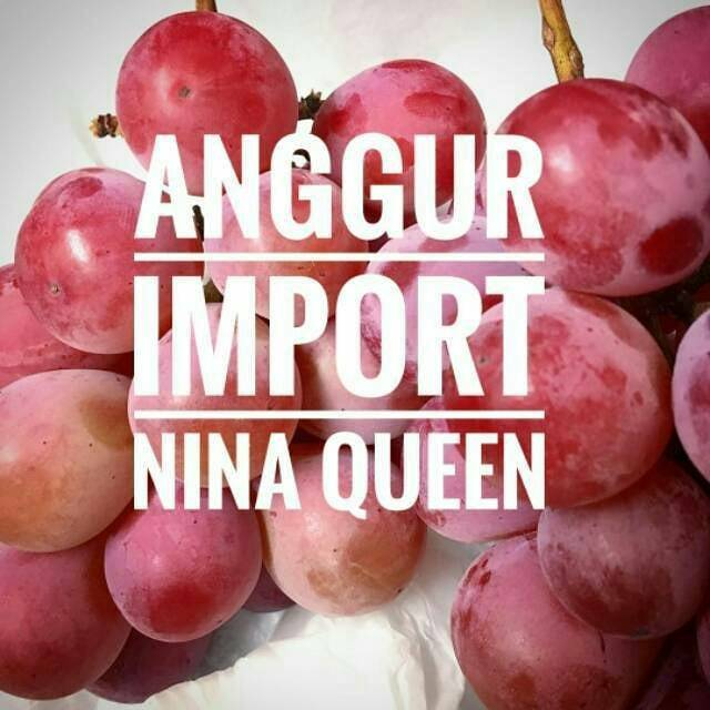 Bibit anggur import jenis nina quen