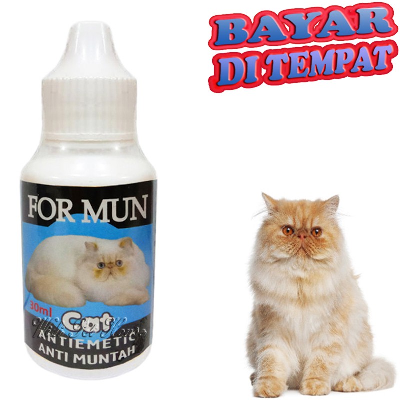 Obat Muntah Kucing FORMUN Sakit Perut Infeksi Pencernaan