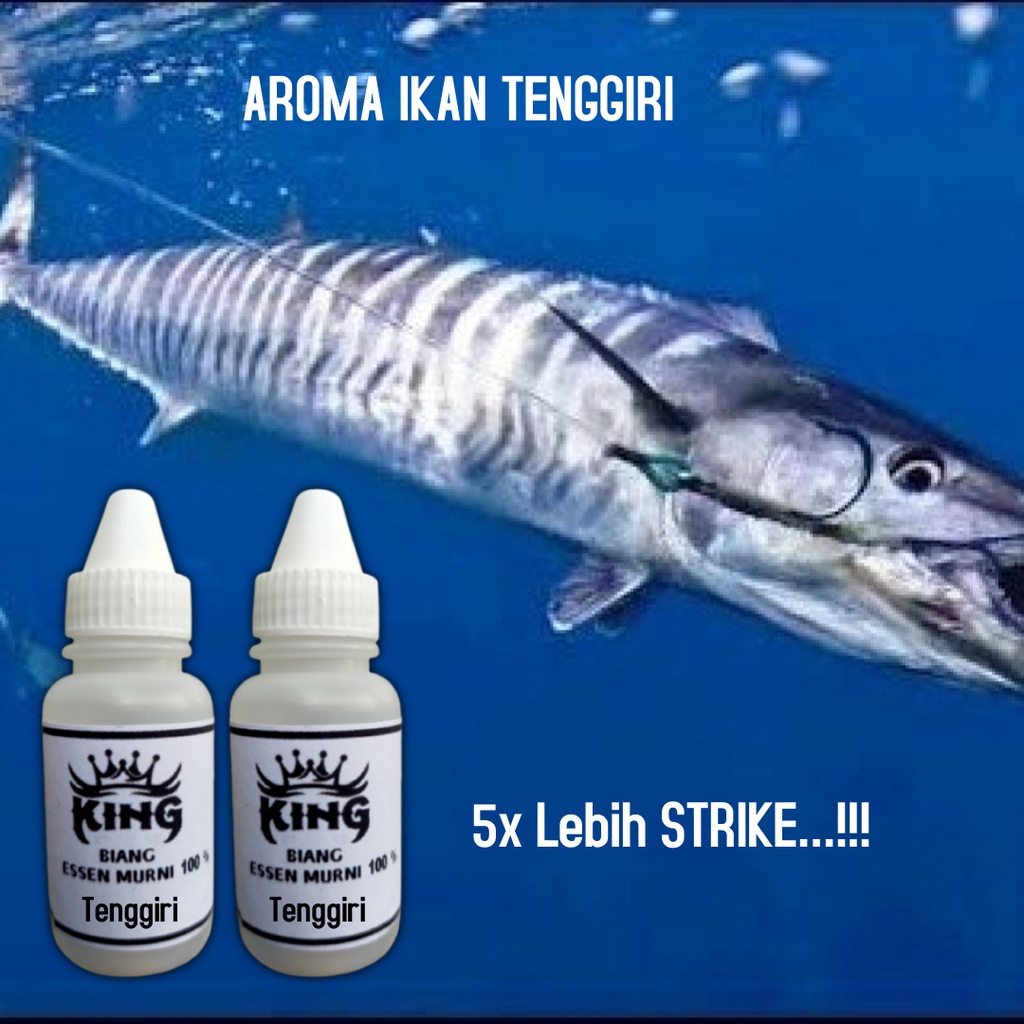 Essen Ikan Aroma Tenggiri umpan pancing di Segala Cuaca essence ikan paling ampuh