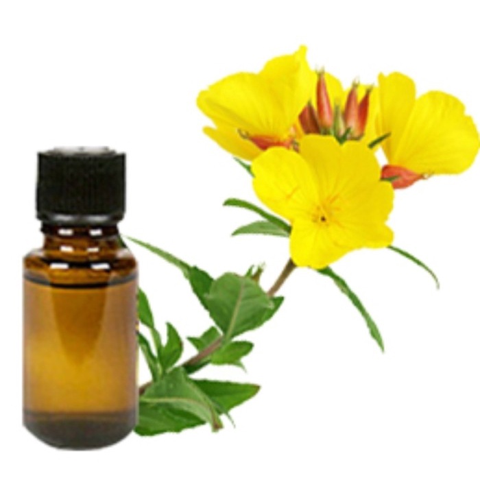 

Evening Primrose Oil 10Ml/Carrier Oil