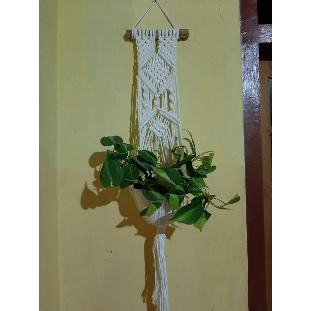 READY STOK) macrame pot gantung/ Macrame plant hanger (POT 032)