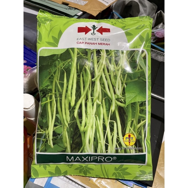 Benih Buncis Maxipro/ Bibit Kacang Panjang Maxipro