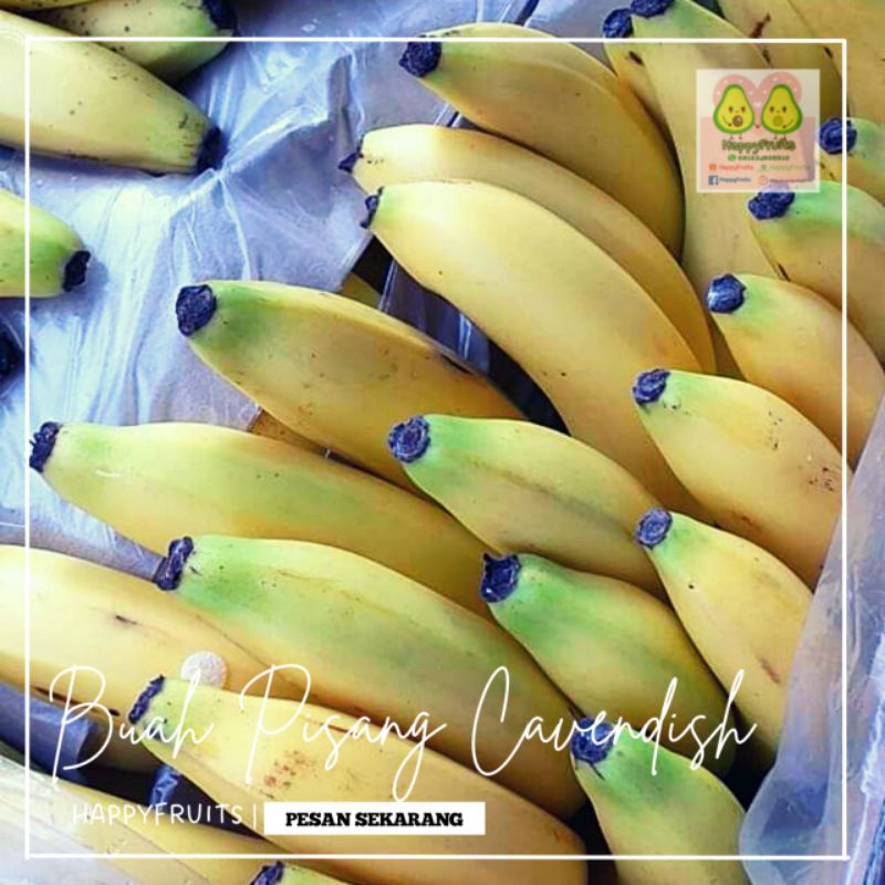 

BUAH PISANG CAVENDISH