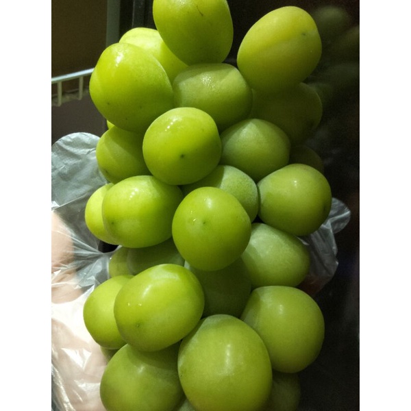 

anggur shine muscatt / anggur hijau manis / shine muscatt 1kg