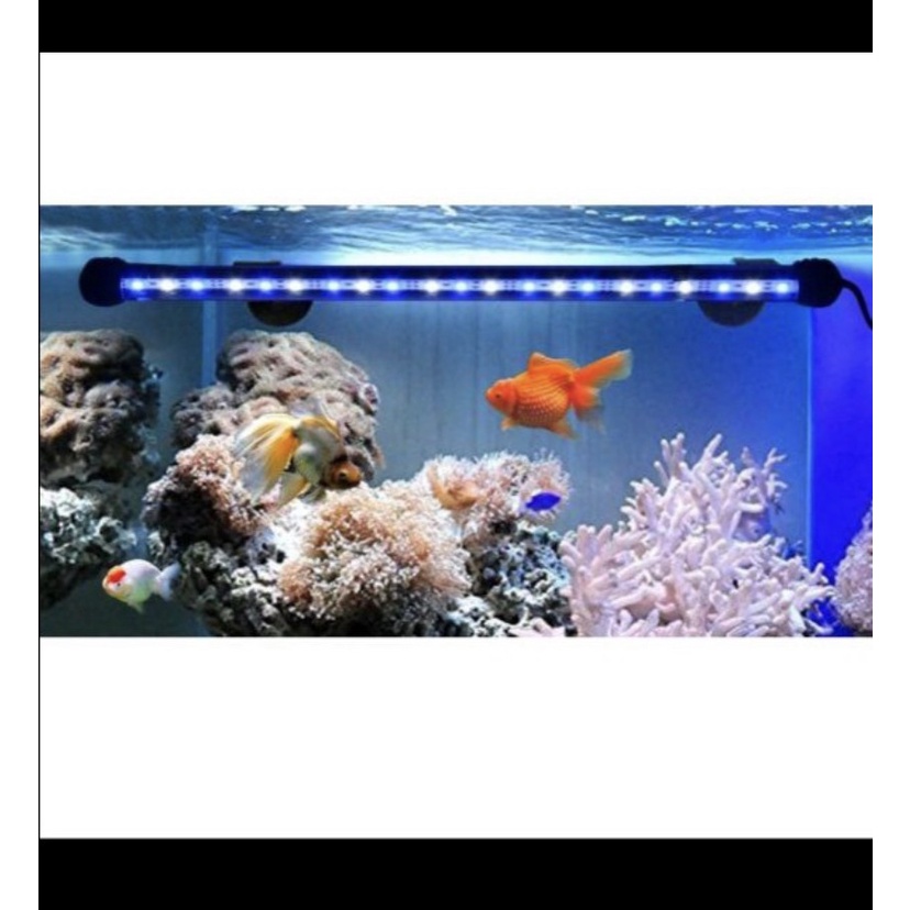 LAMPU LED AQUARIUM IKAN KOI CUPANG ARWANA 20 30 40 CM T4 AQUATIK HIAS WARNA PUTIH RGB SNI GARANSI PROMO AC 220V MERAH BIRU HIJAU AQUASCAPE HIAS TEMEPEL WATERPROOF