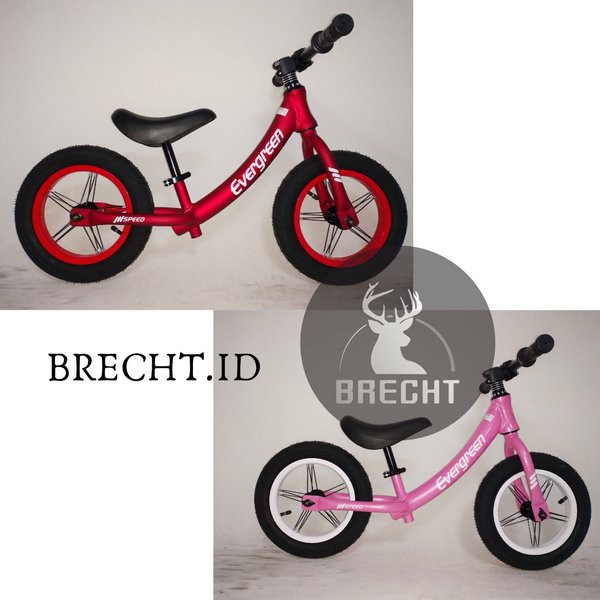 Sepeda Anak Evergreen Speed