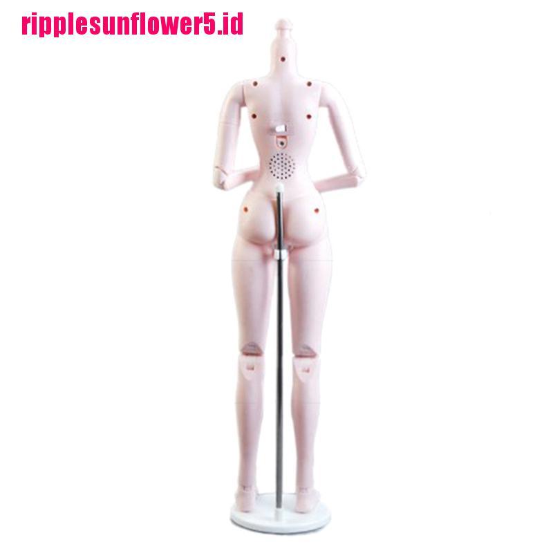 Stand Holder Boneka 25cm Untuk Display