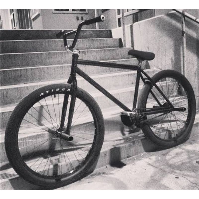 stang fixie bmx