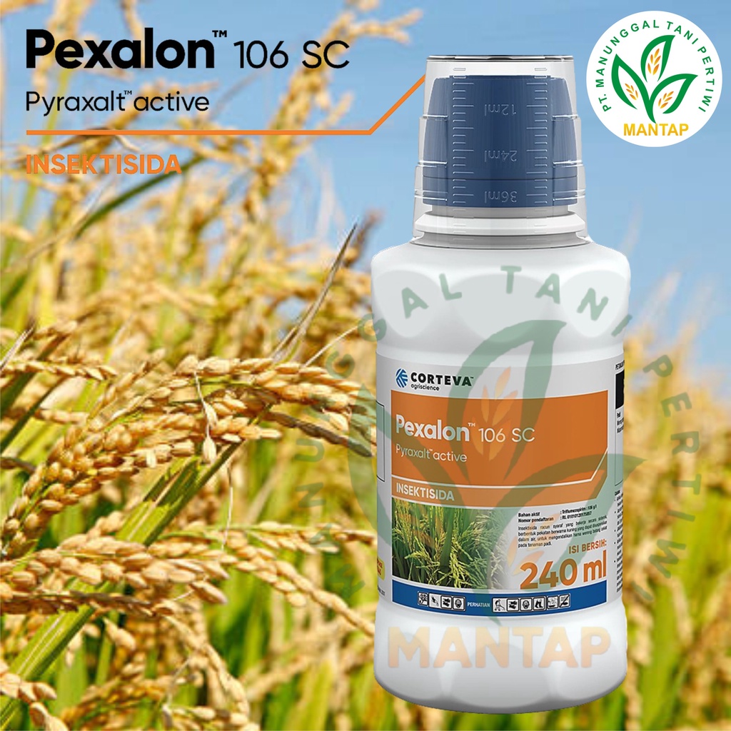What Is Pexalon Used For? _ Rivastigmine (Transdermal Route) – CNXJD