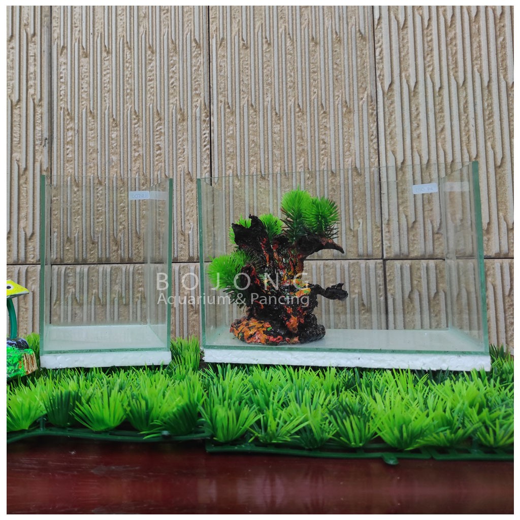 Aquarium Ikan Kecil/Cupang Kaca dengan sekat 20cm