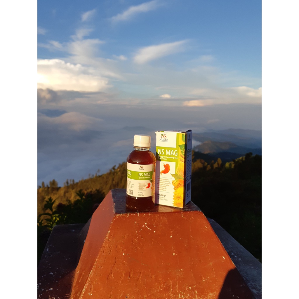 MADU NS MAG ISI 280GR / MADU LAMBUNG AMPUH MADU LAMBUNG MENGATASI GANGGUAN LAMBUNG DAN PENCERNAAN / MADU ASLI ORIGINAL / MADU HERBAL KHUSUS UNTUK MAAG DAN LAMBUNG