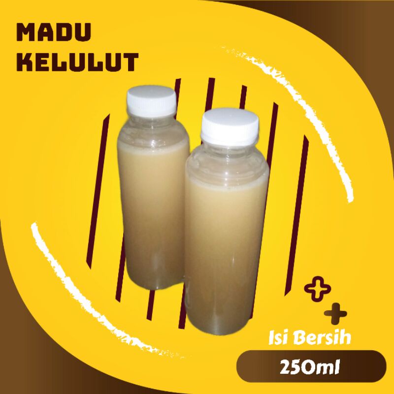 

Madu Klanceng/ Kelulut/ Trigona