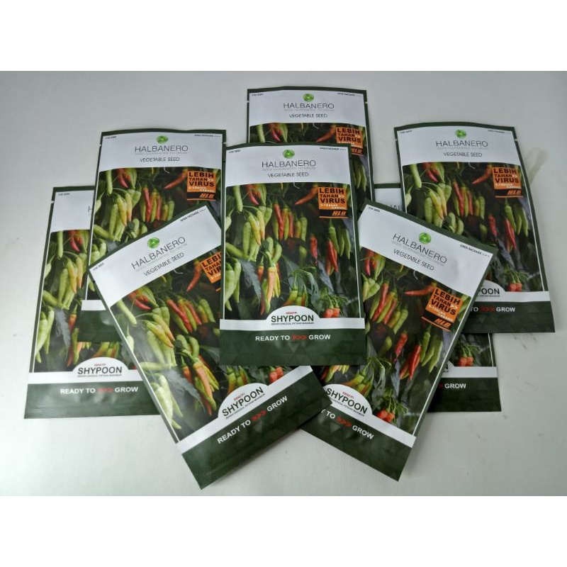benih cabai shypoon