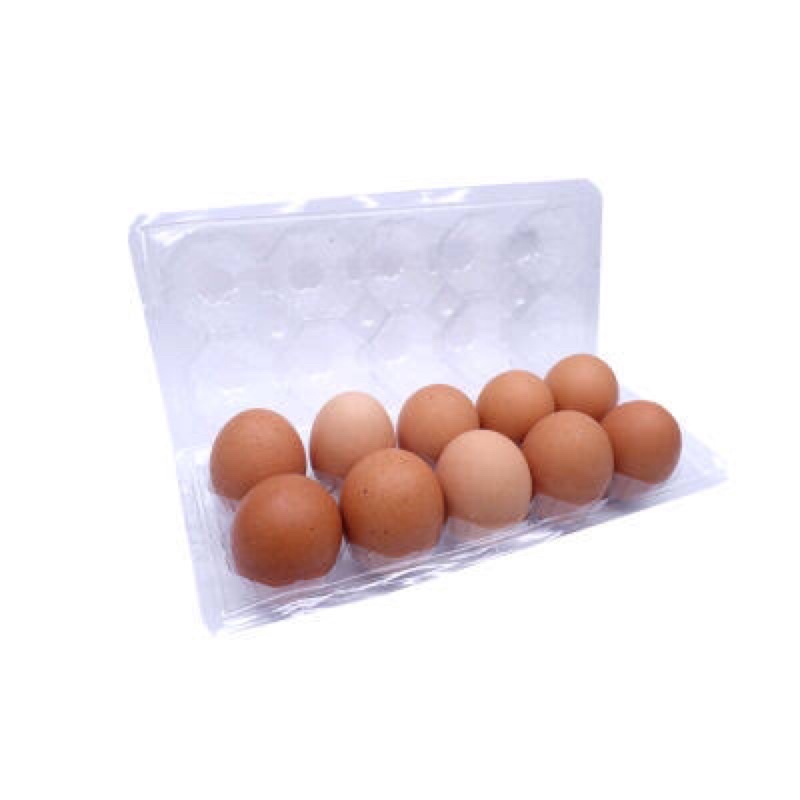 

SEDERHANA99 - Telur Ayam Negeri 10 butir