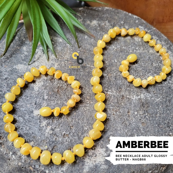 Kalung Amber Dewasa Premium Glossy Butter by Amber Bee NAGB66