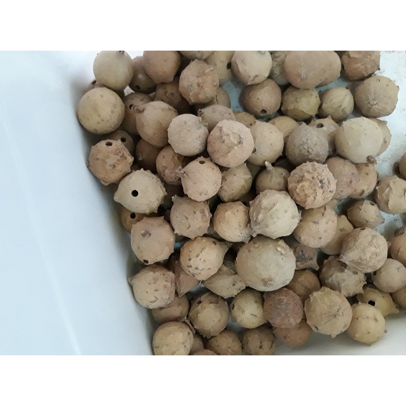 

majakani perapat miss v / majakan 50gr