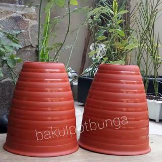  Pot  Tawon  Tirus Tinggi Pirus  18 cm Shopee Indonesia